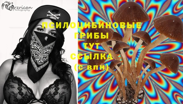 марихуана Горнозаводск