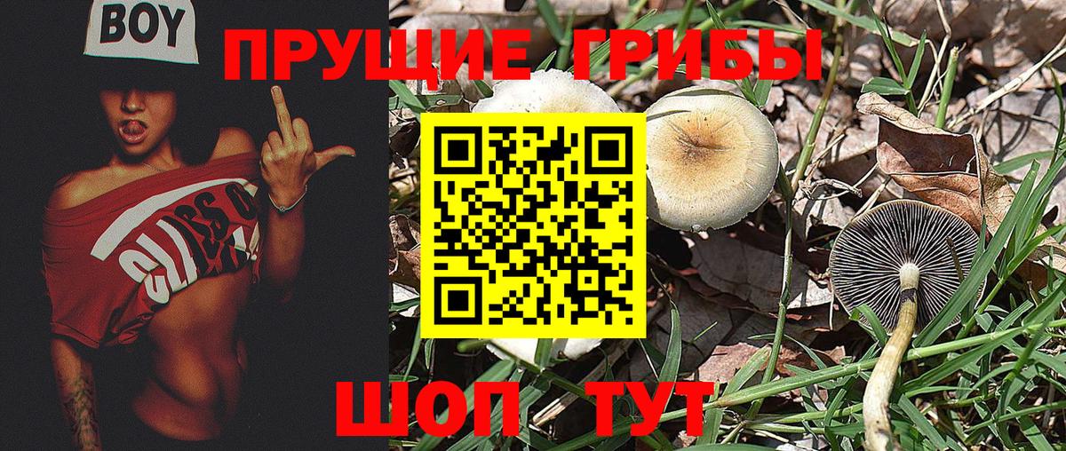 ТГК  Гашиш  Вход с VPN  Меф кристаллы  LSD-25  Заволжье  Конопля 