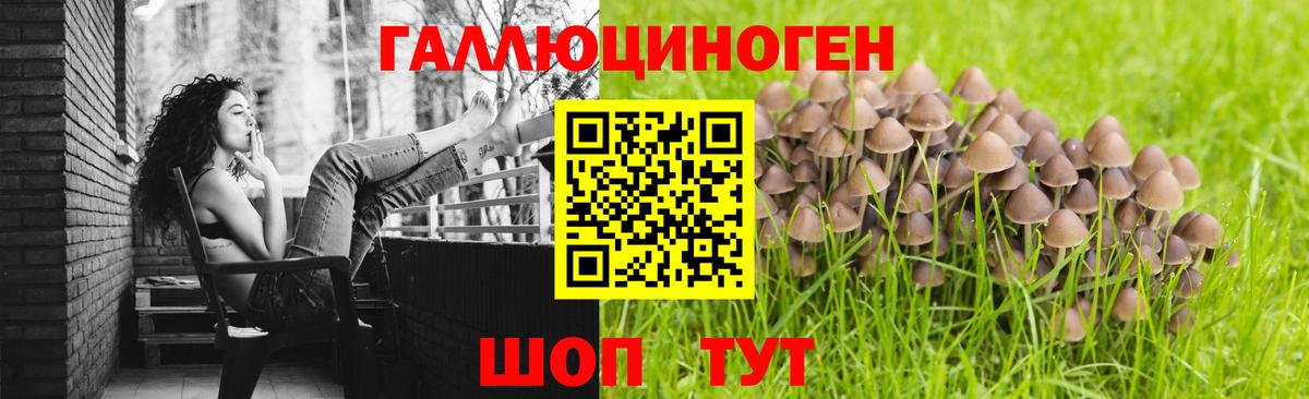 Заволжье  продажа наркотиков  Вход с VPN  Псилоцибиновые грибы мицелий 
